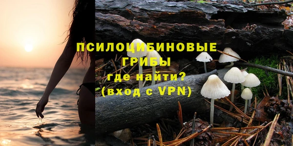 ALPHA-PVP Алексин
