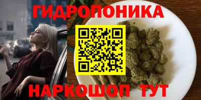 apvp Владивосток