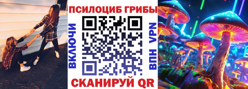 продажа наркотиков  МЕГА ТОР  Псилоцибиновые грибы Cubensis  Богданович 