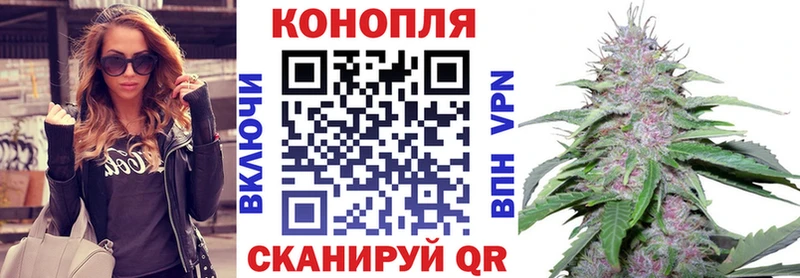 купить наркотики сайты  Богданович  Марихуана сатива 